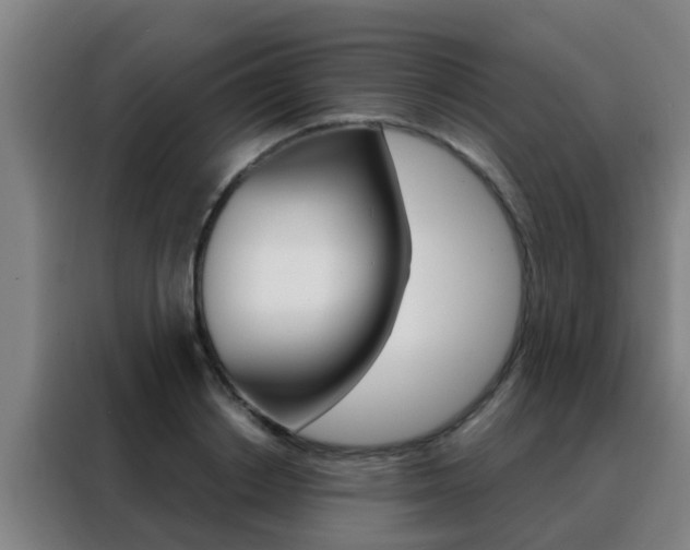 X0000088490842200705221020