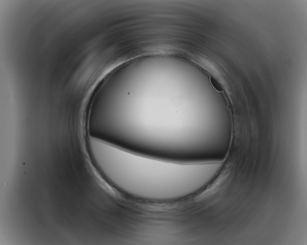 X0000088490843200705221020