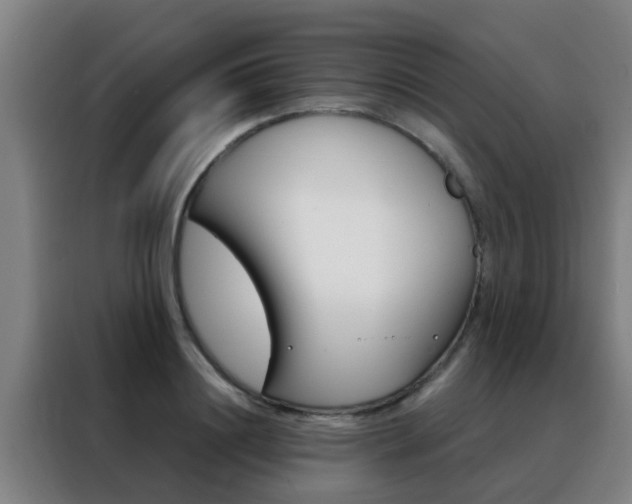 X0000088490844200705221020