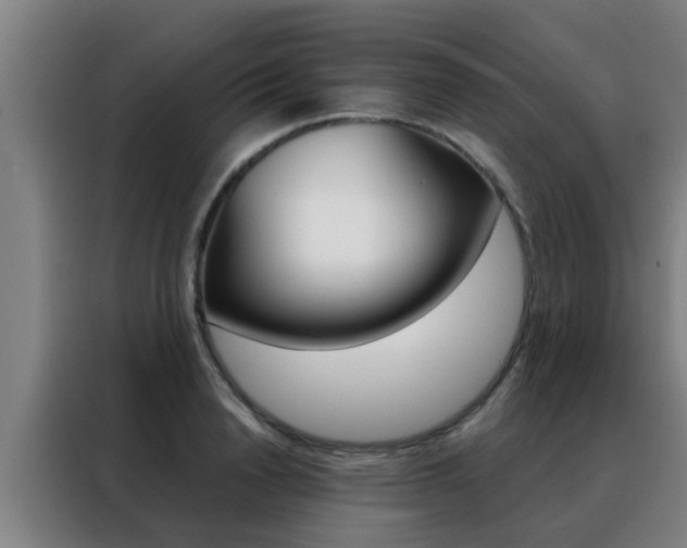 X0000088490846200705221020