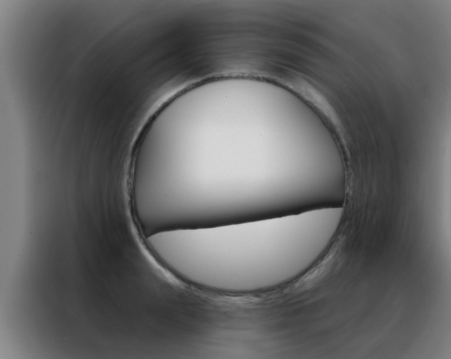 X0000088490847200705221020
