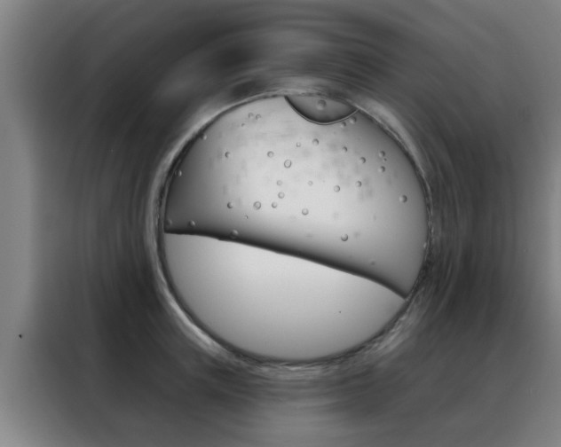 X0000088490851200705221020