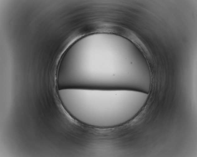 X0000088490852200705221020