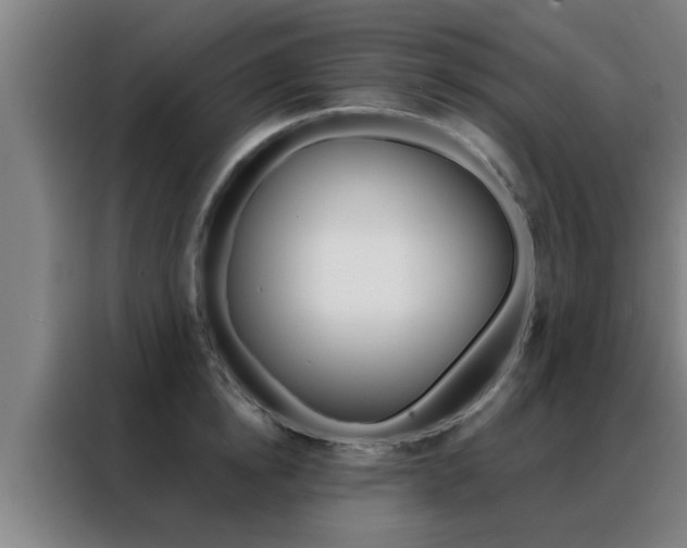 X0000088490854200705221020