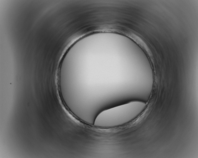 X0000088490855200705221020
