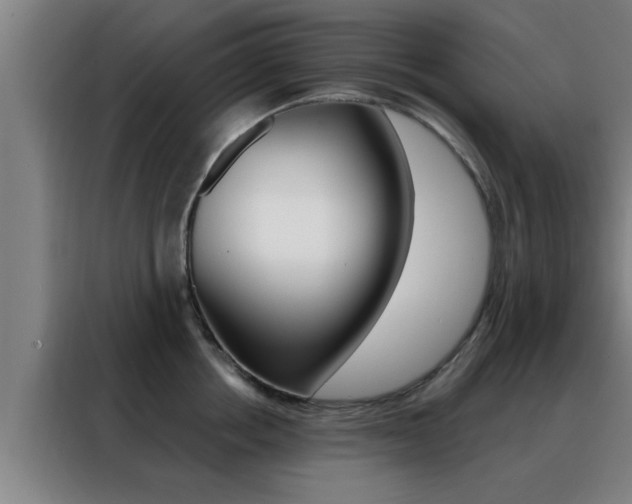 X0000088490858200705221021