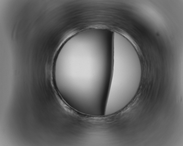 X0000088490861200705221021