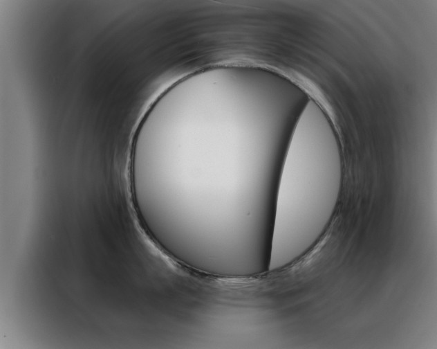 X0000088490863200705221021