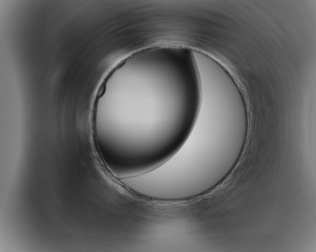 X0000088490864200705221021