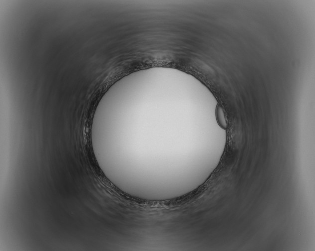 X0000088490866200705221020
