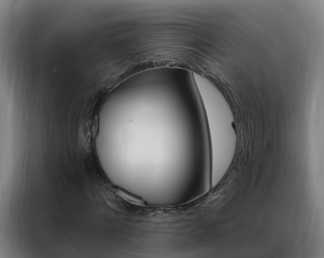 X0000088490868200705221020