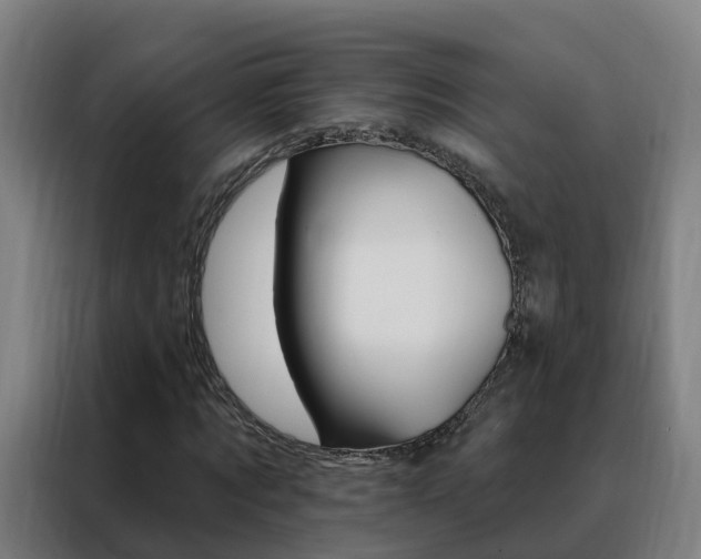 X0000088490869200705221020