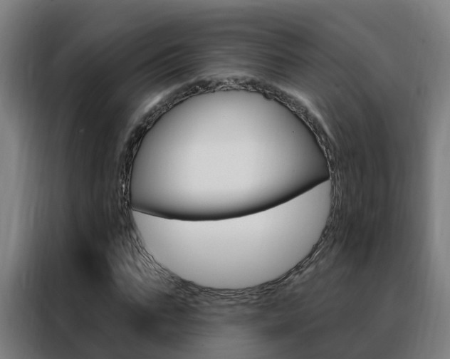 X0000088490871200705221020