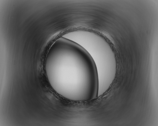 X0000088490872200705221020