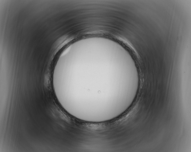 X0000088490874200705221020