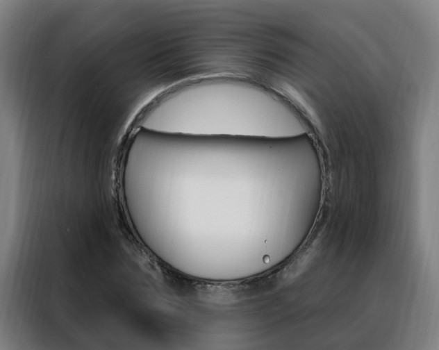 X0000088490875200705221020