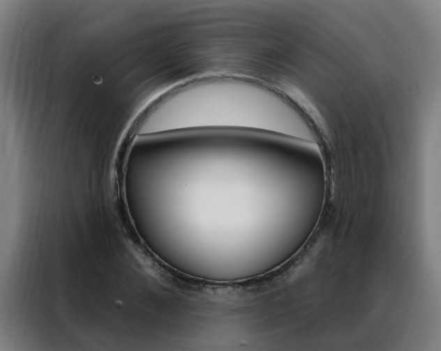 X0000088490876200705221020
