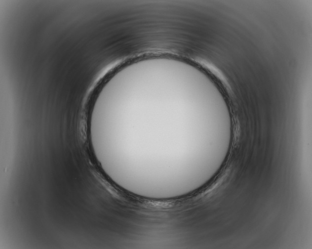 X0000088490878200705221020
