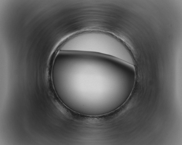 X0000088490880200705221020