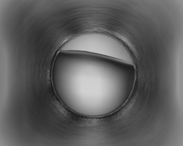 X0000088490881200705221020