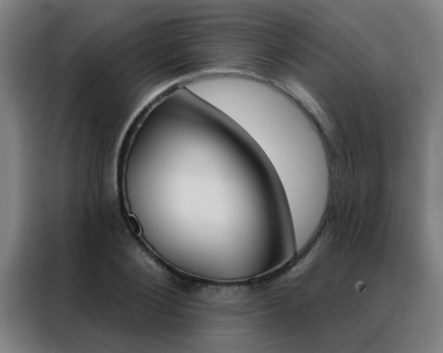 X0000088490884200705221020