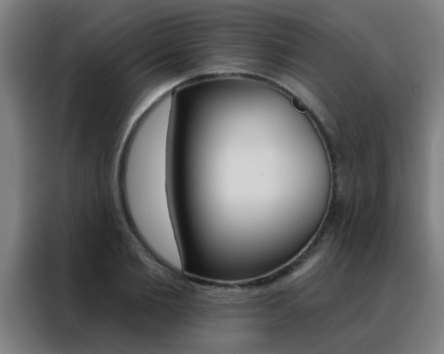 X0000088490885200705221020
