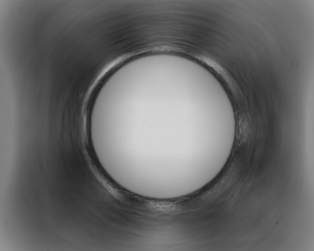 X0000088490886200705221020