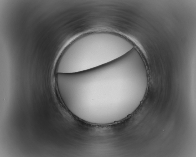 X0000088490887200705221020