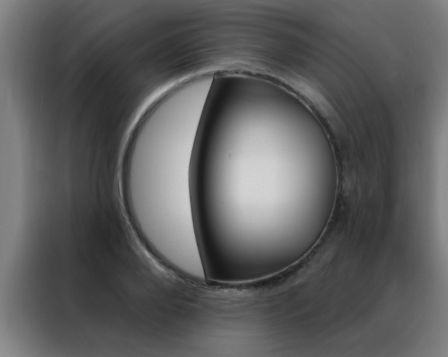 X0000088490888200705221020