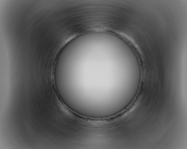 X0000088490889200705221020