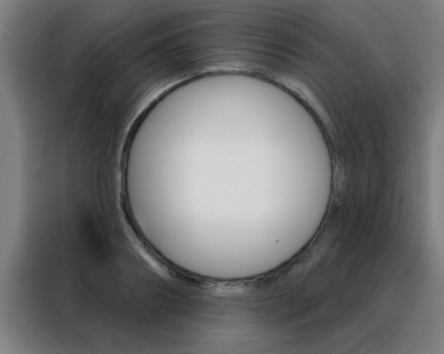 X0000088490890200705221020