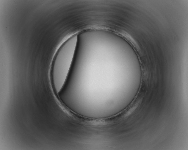 X0000088490893200705221020