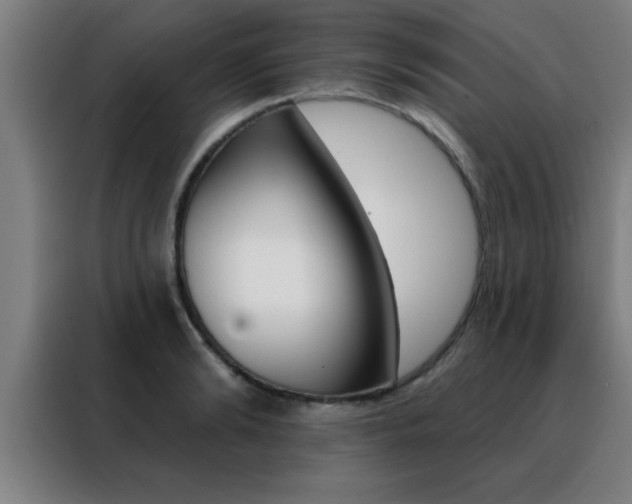 X0000088490894200705221020