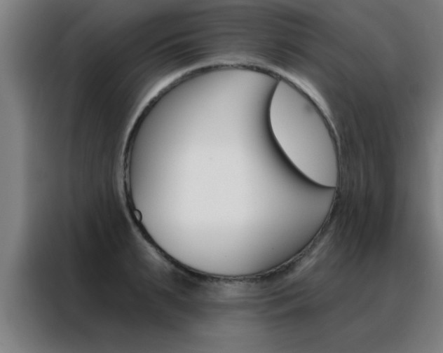 X0000088490895200705221020