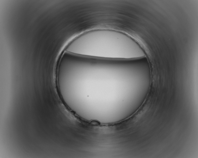 X0000088490896200705221020
