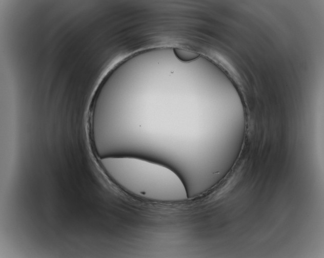 X0000088490899200705221020