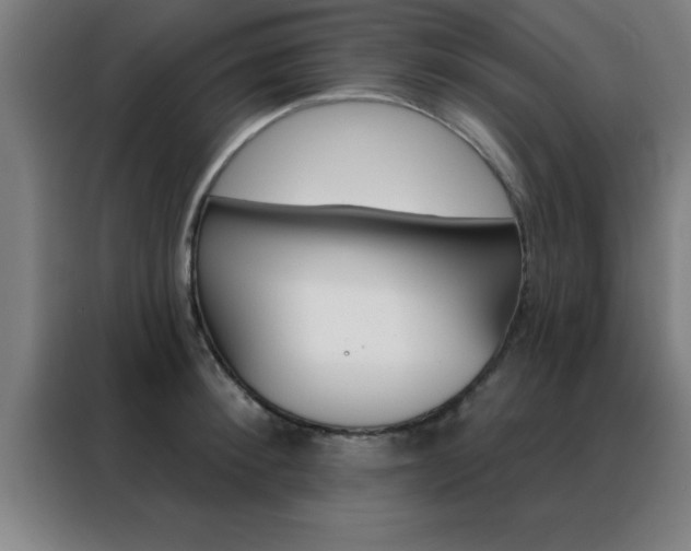 X0000088490900200705221019