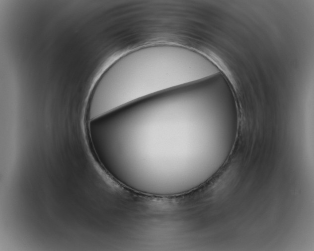 X0000088490901200705221019