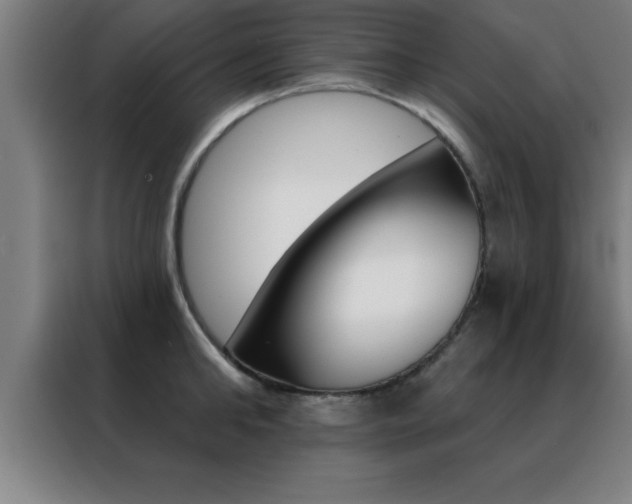 X0000088490902200705221019