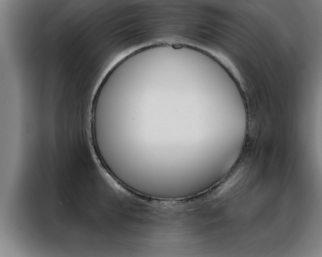 X0000088490903200705221019