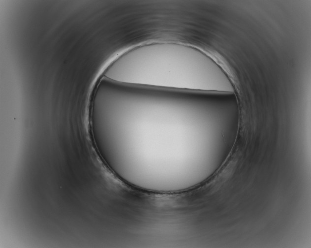 X0000088490904200705221019