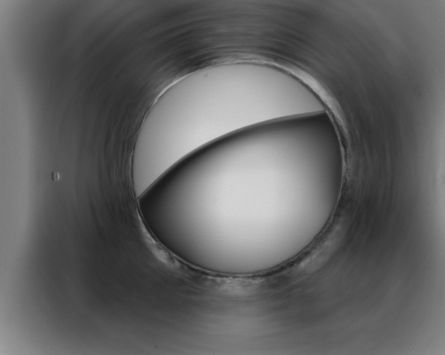 X0000088490905200705221019