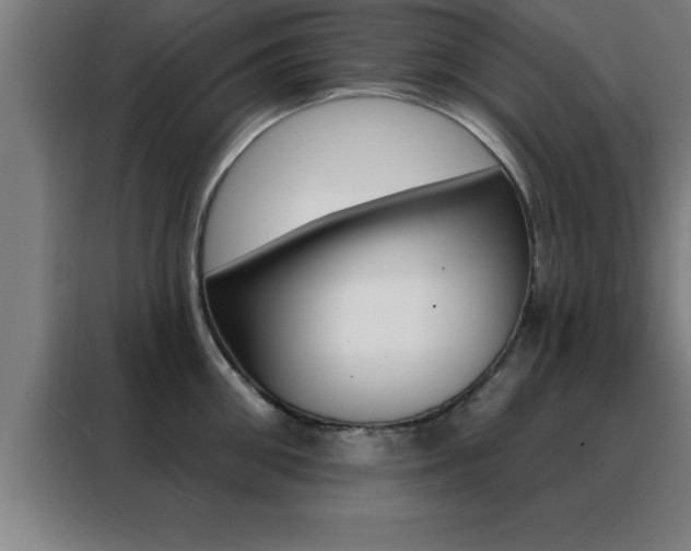 X0000088490906200705221019