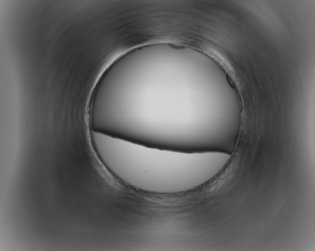 X0000088490907200705221019