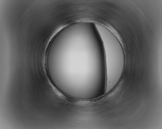 X0000088490909200705221019