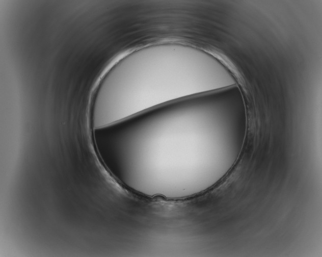 X0000088490910200705221019