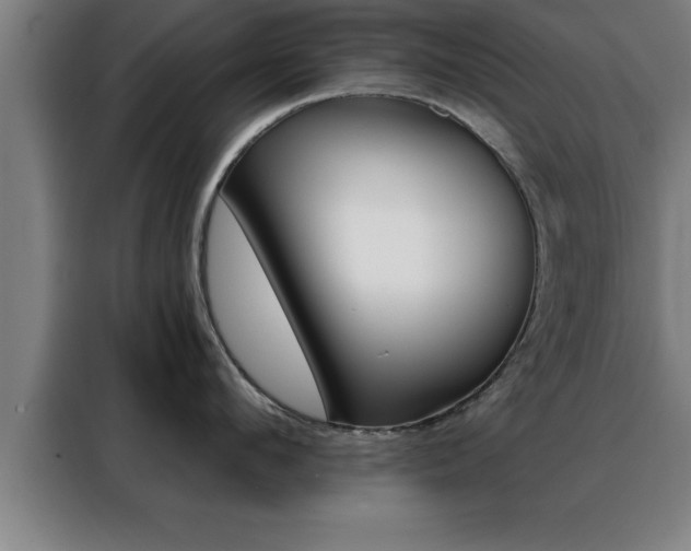X0000088490912200705221019
