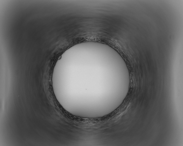 X0000088490913200705221019