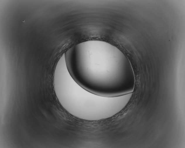 X0000088490916200705221019
