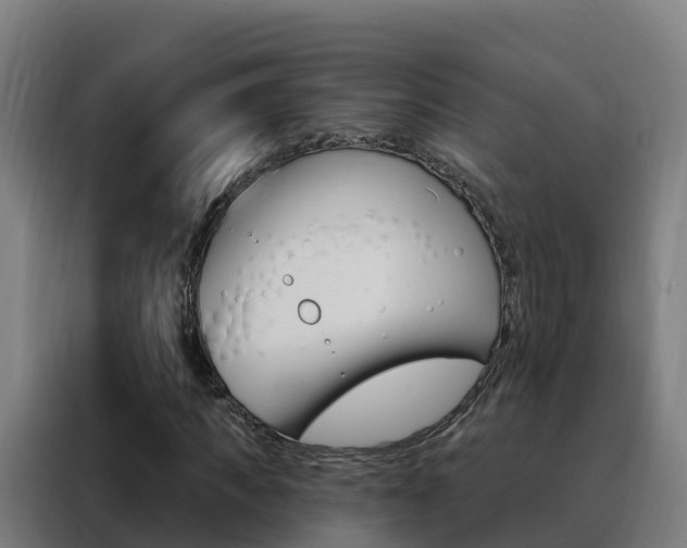 X0000088490917200705221019